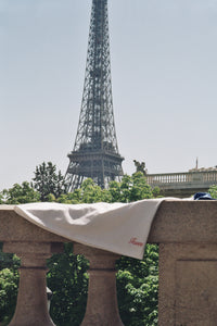 CAMISETA LE WESH
